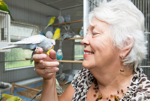  Janice generally tends to the birds in the morning while Ghalib takes care of the evening shift